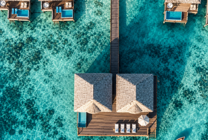 Marriott Bonvoy Global Autumn Promo cover